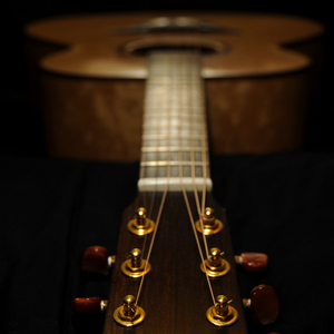 各种性高潮的女人们在线播放
